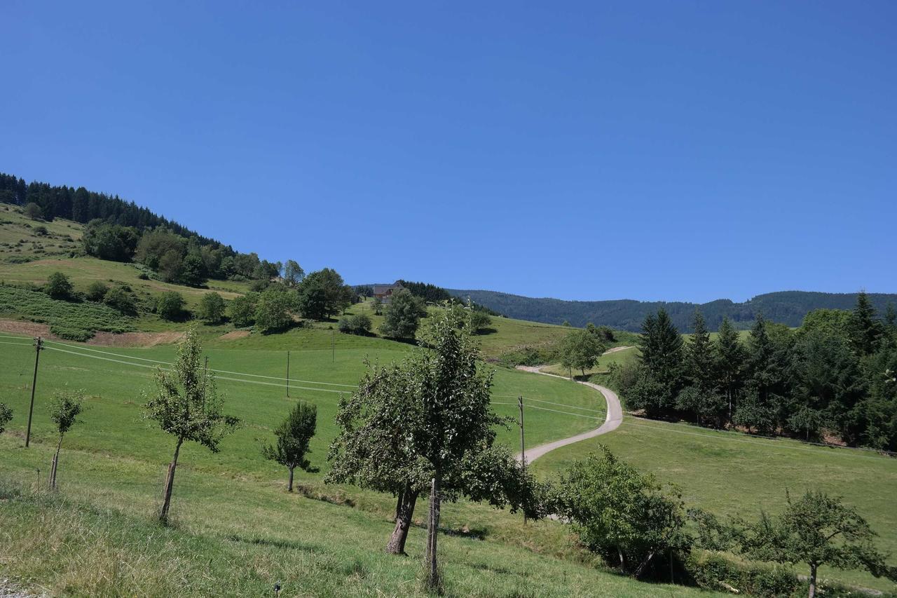 Vila Maierhof Oberried  Exteriér fotografie