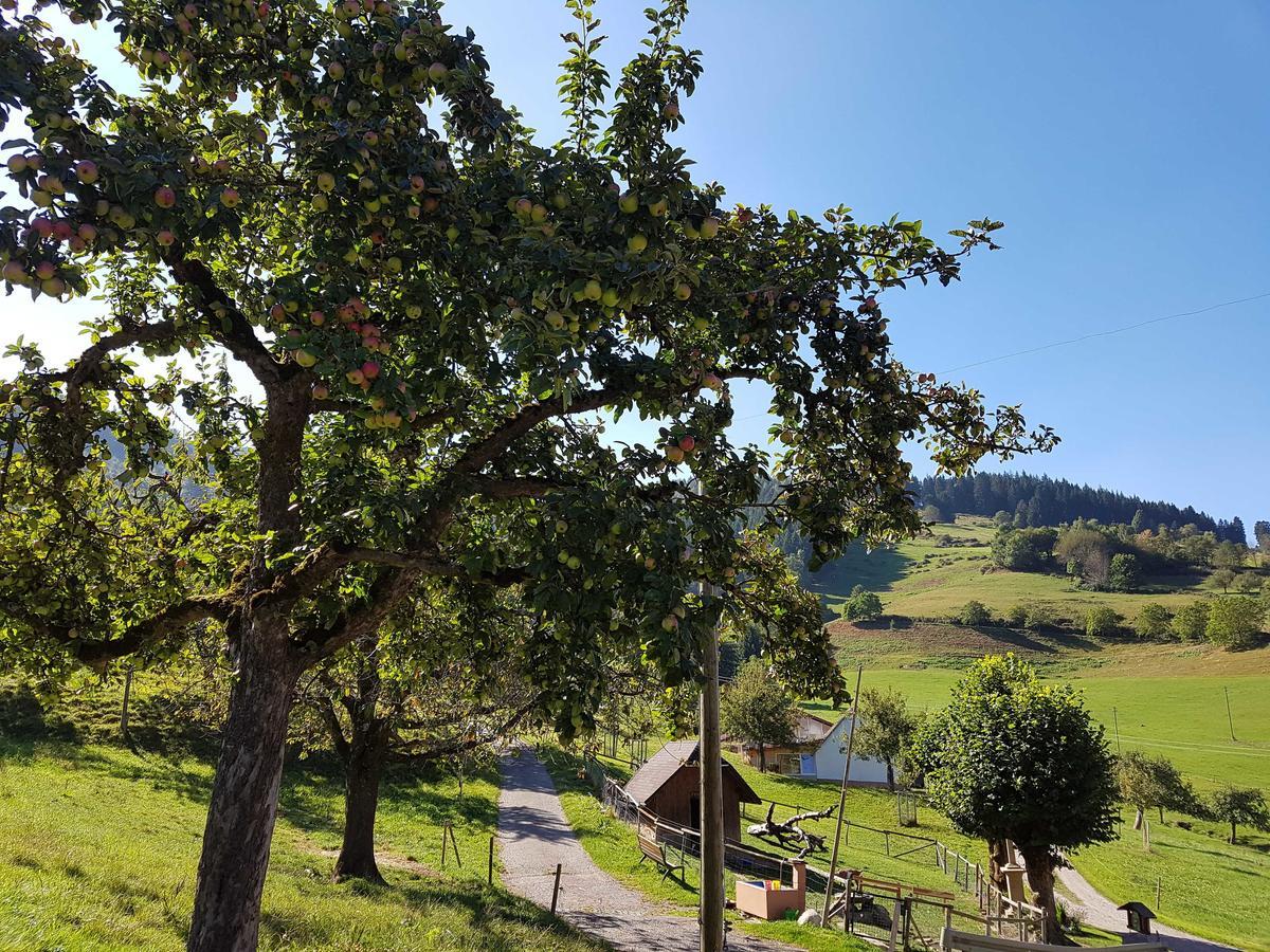 Vila Maierhof Oberried  Exteriér fotografie